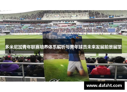 多米尼加青年联赛培养体系解析与青年球员未来发展前景展望