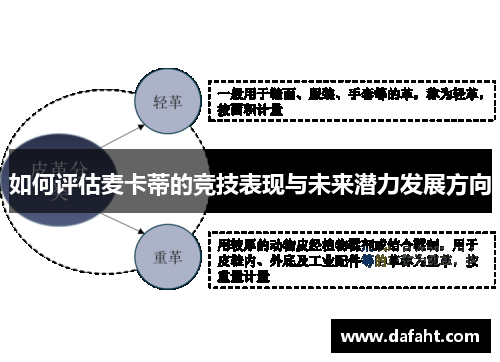 如何评估麦卡蒂的竞技表现与未来潜力发展方向